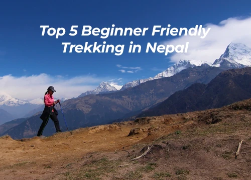 Top 5 Beginner Friendly Trekking in Nepal